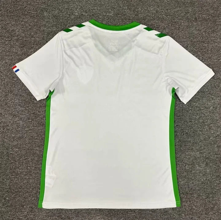 AS Saint-Étienne Fußballtrikot 2024 2025 Auswärts ASSE