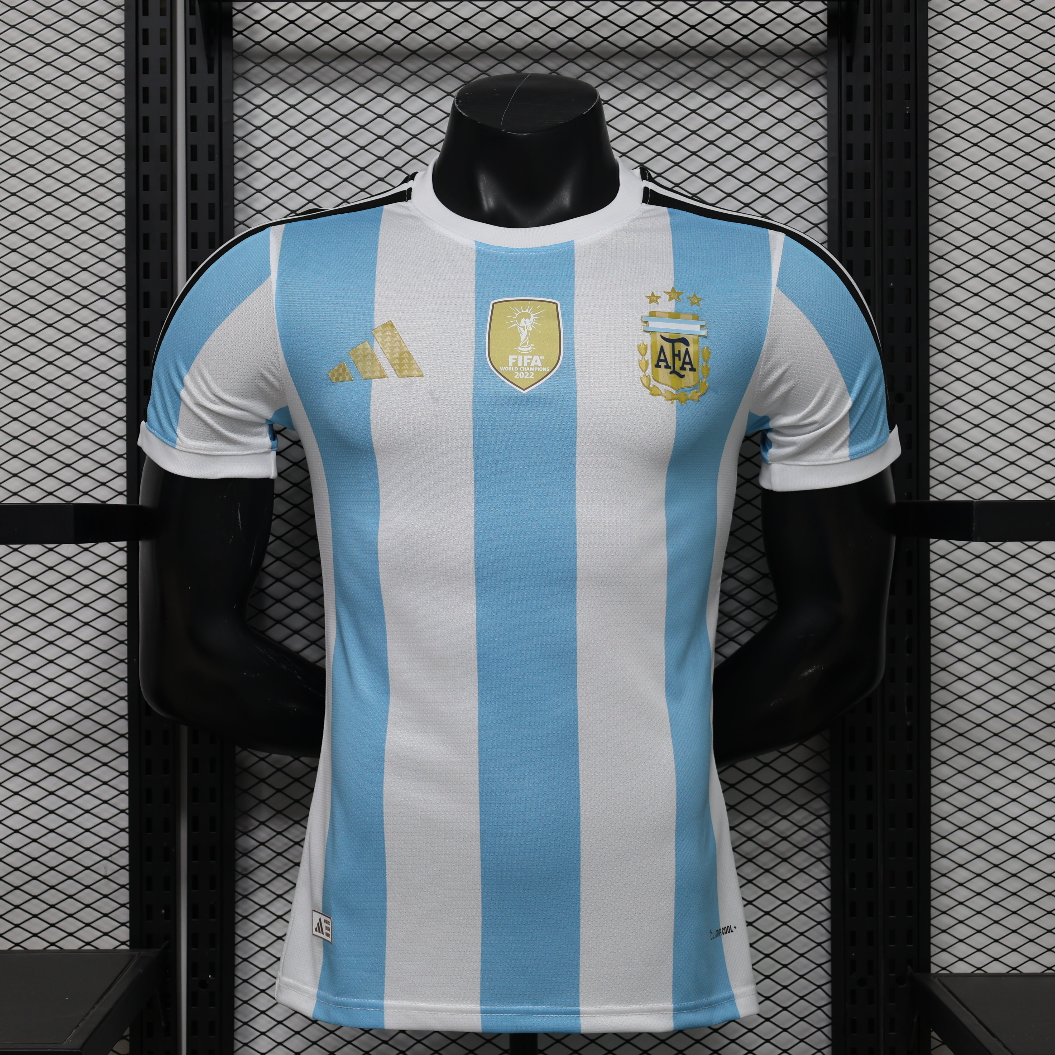 Argentinien Konzept-Trikot 2026