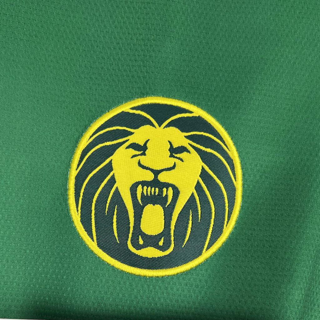 Kamerun Trikot Afrika-Cup 2025-26