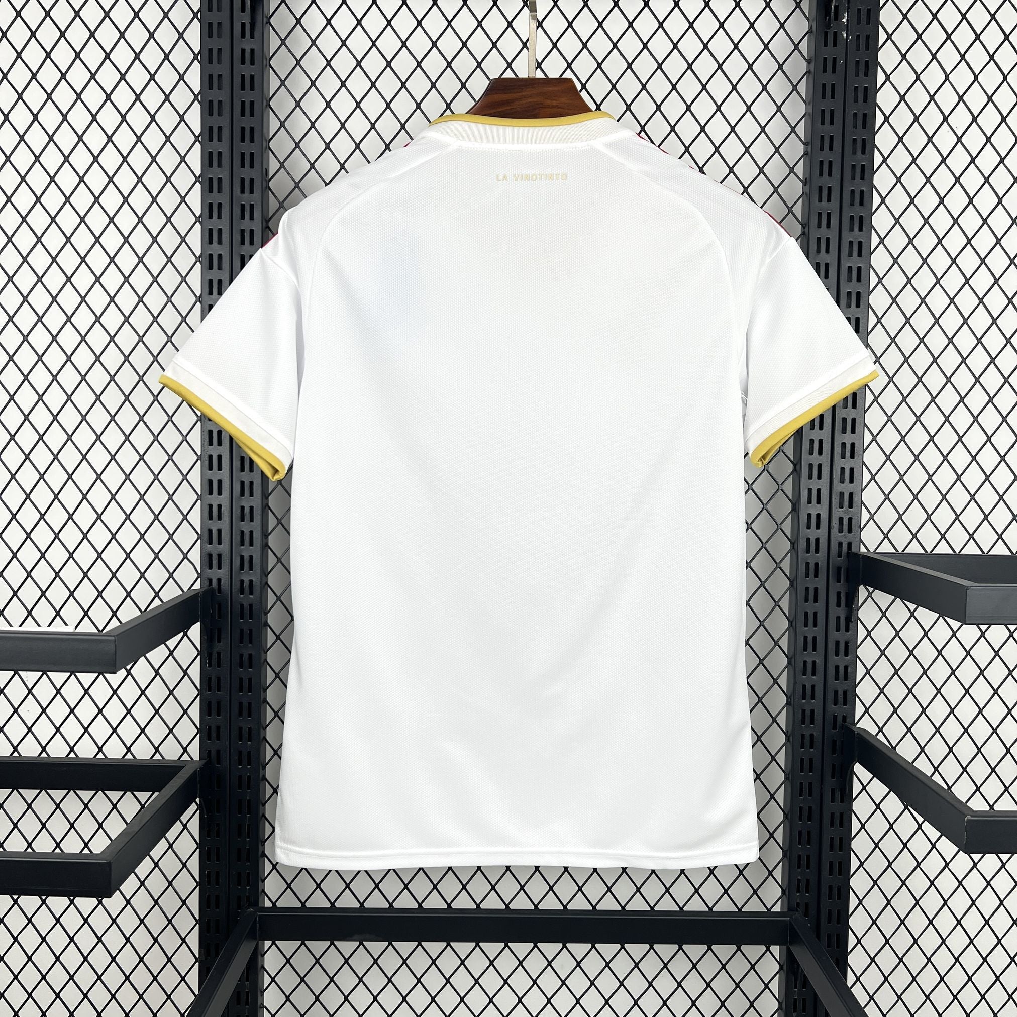 Venezuela 2026 World Cup jersey