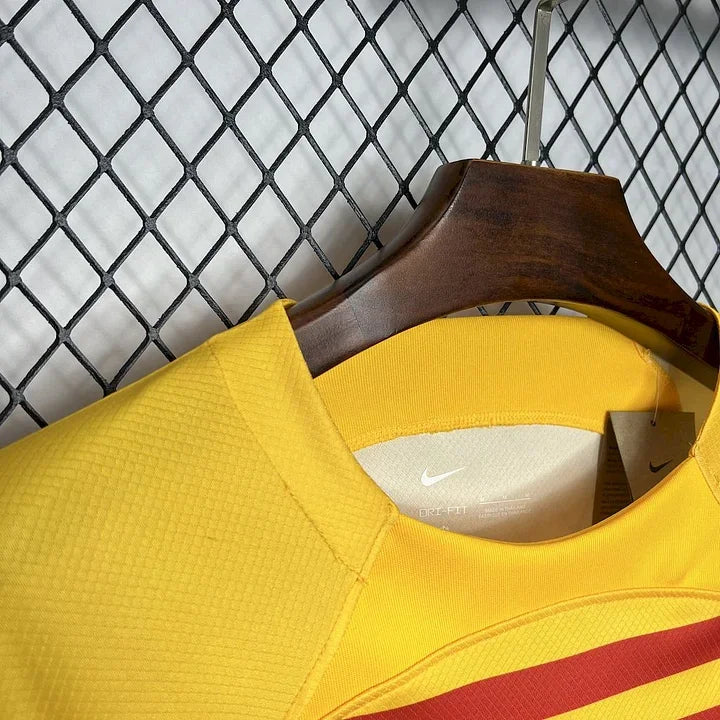 FC Barcelona Fußballtrikot 2024/2025 Ausweichtrikot