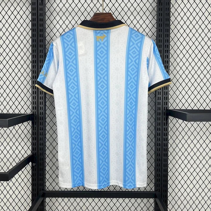 Argentinien Fußballtrikot 2025 2026 Konzept